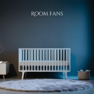 Room Fans