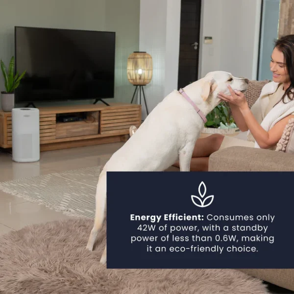 Solenco 803 Air Purifier - Thuza - Image 6