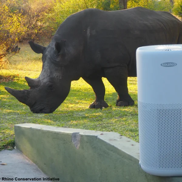 Solenco 803 Air Purifier - Thuza - Image 10